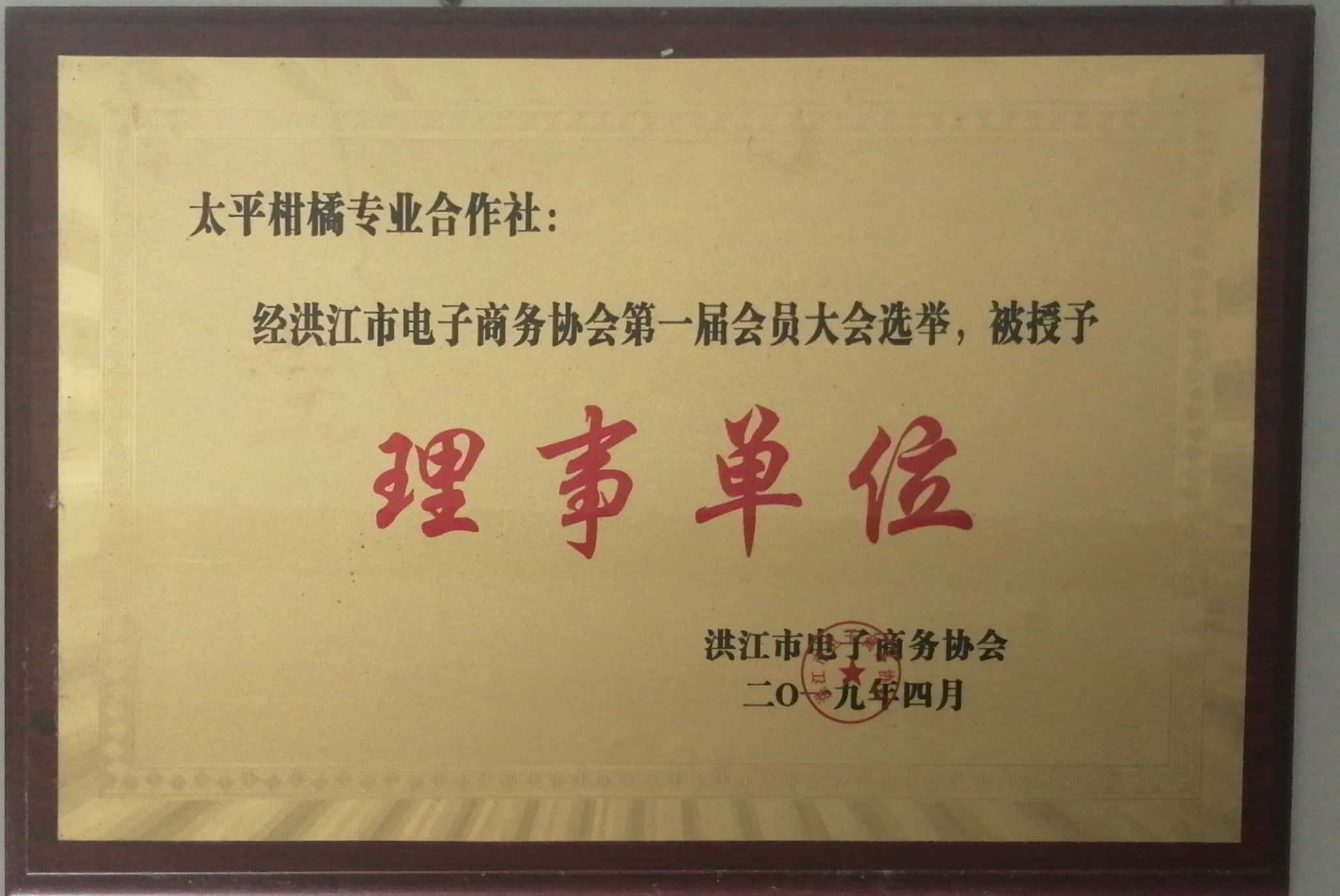 洪江電子商務協會理事單位